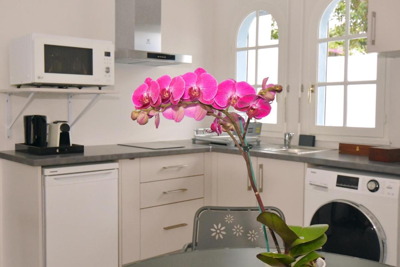 Le Jacaranda Du Guillaume Bed and Breakfast Le Guillaume Εξωτερικό φωτογραφία